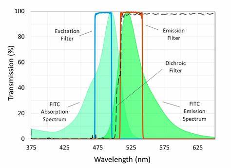 fitc熒光素的激發發射波長是多少？